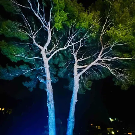 Design Piscine Calme Clim Parking וילה *